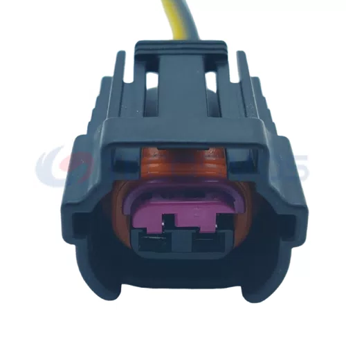 Auto Parts Fuel Nozzle Waterproof Shell Car Connector Suitable for Volkswagen Audi 2-pin Female 6189-6872